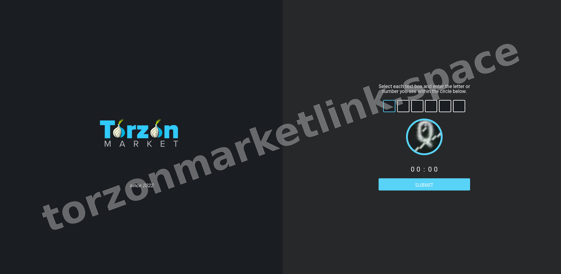 Torzon DDoS Protection